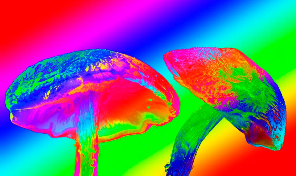 Read more about the article After Its Vilification In The 1960s, There Is Now A Renaissance In Psychedelic Drugs To Help Treat Depression And Mental Health Issues
