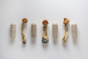 Read more about the article Virginia Lawmakers Propose Decriminalizing Psychedelic Mushrooms